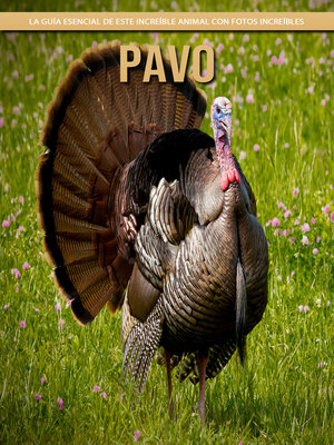cover image of Pavo